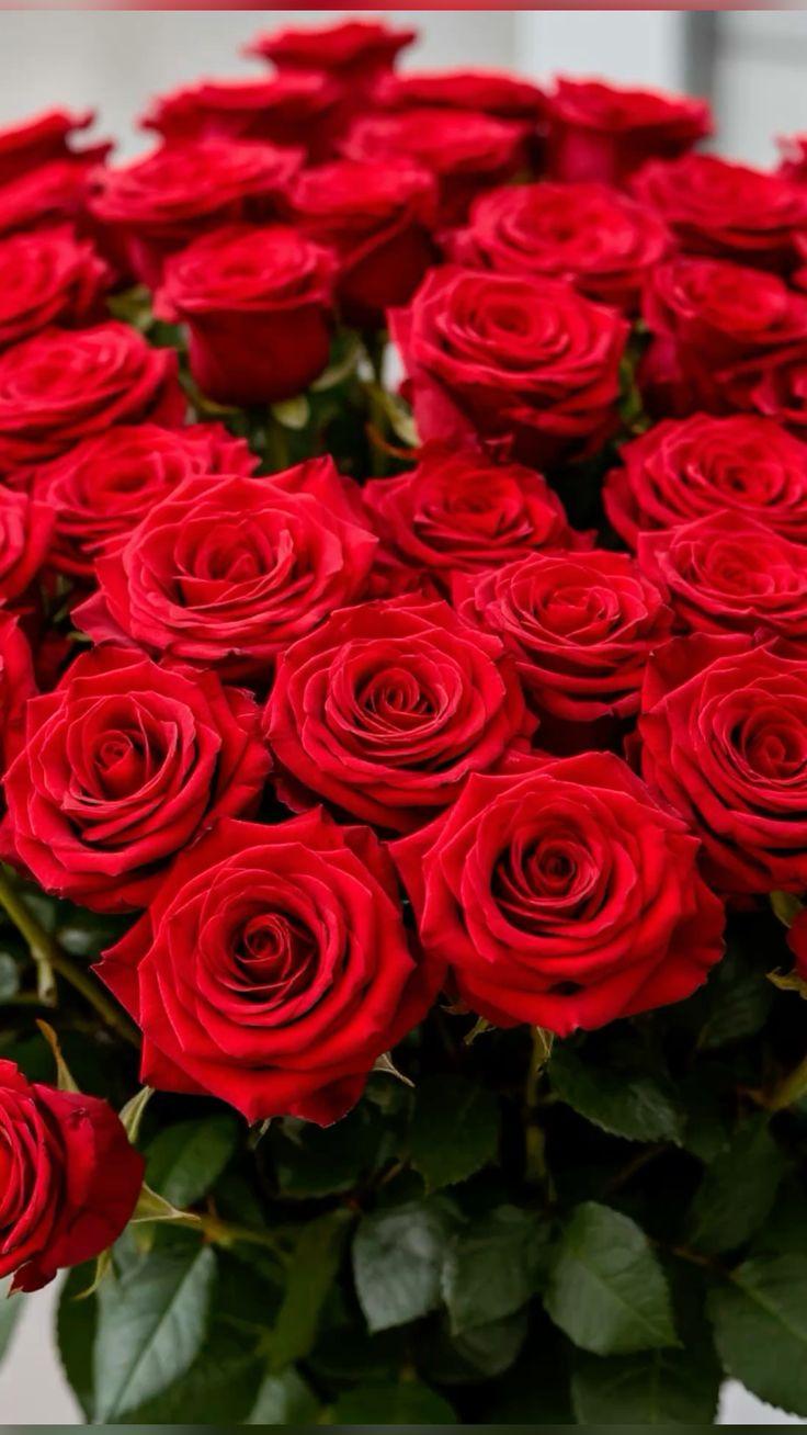 Pale Orchid Trail workshop space where corporate flower arrangements are designed and prepared for business delivery